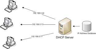 dhcp_server