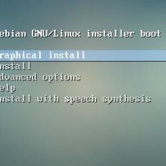 Virtual Machine Debian, Set Up bloccato con schermata grigia