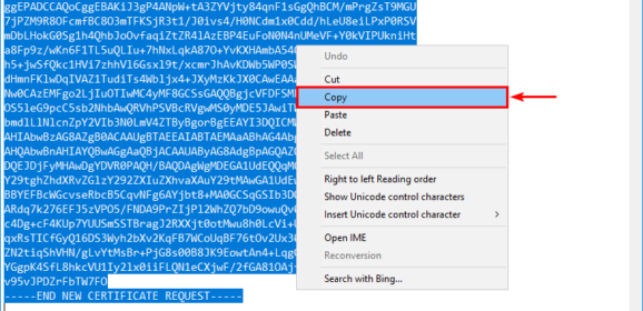 Come installare un certificato SSL  in Exchange Server 2019 o versione successiva